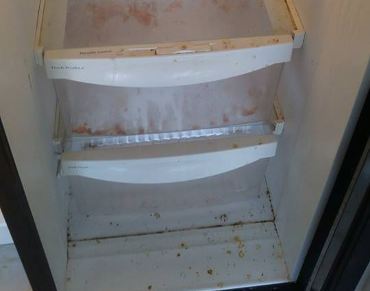 Dallas Maids - Dirty refrigerator