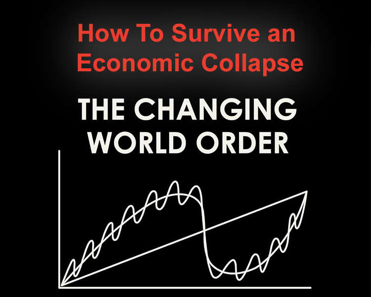 How To Survive an Economic Collapse