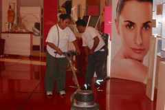 TEXAS FAIR LOREAL EXHIBIT 2008