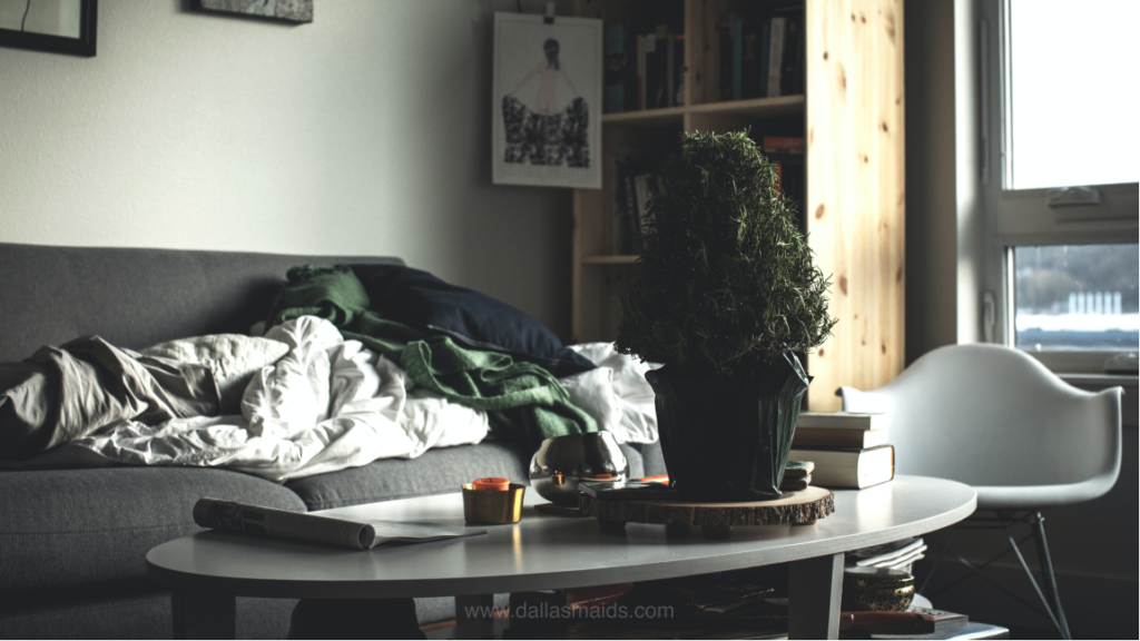 Dallas Maids - Messy Living Room