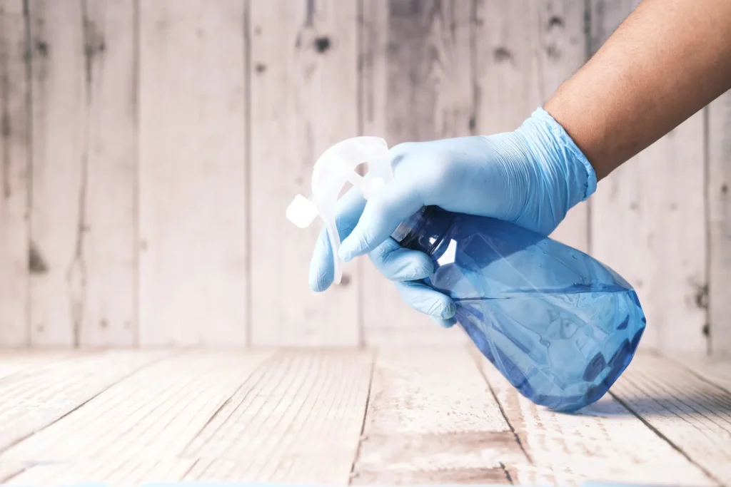 House Cleaning Services Plano