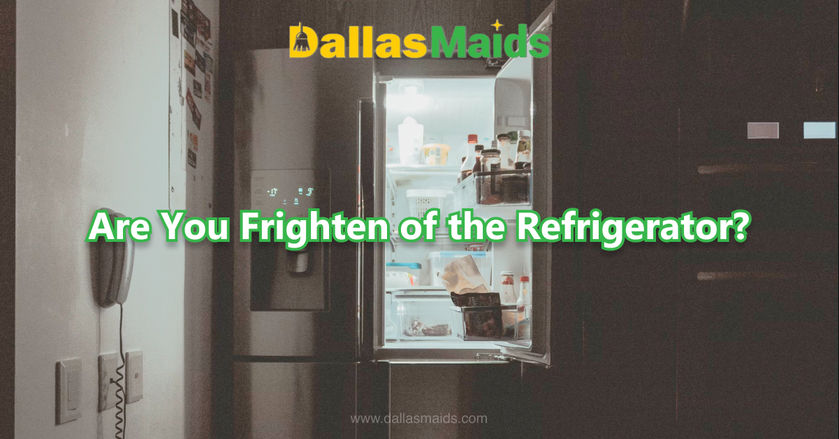 Dallas Maids - Are You Frighten of the Refrigerator?