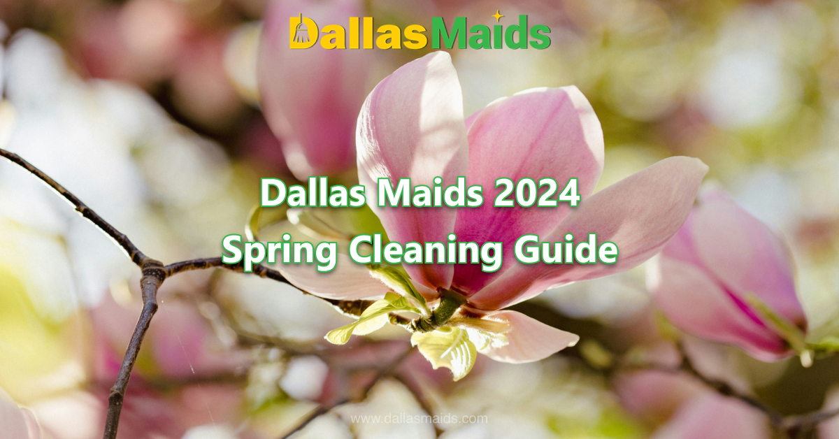 Dallas Maids - Dallas Maids 2024 Spring Cleaning Guide