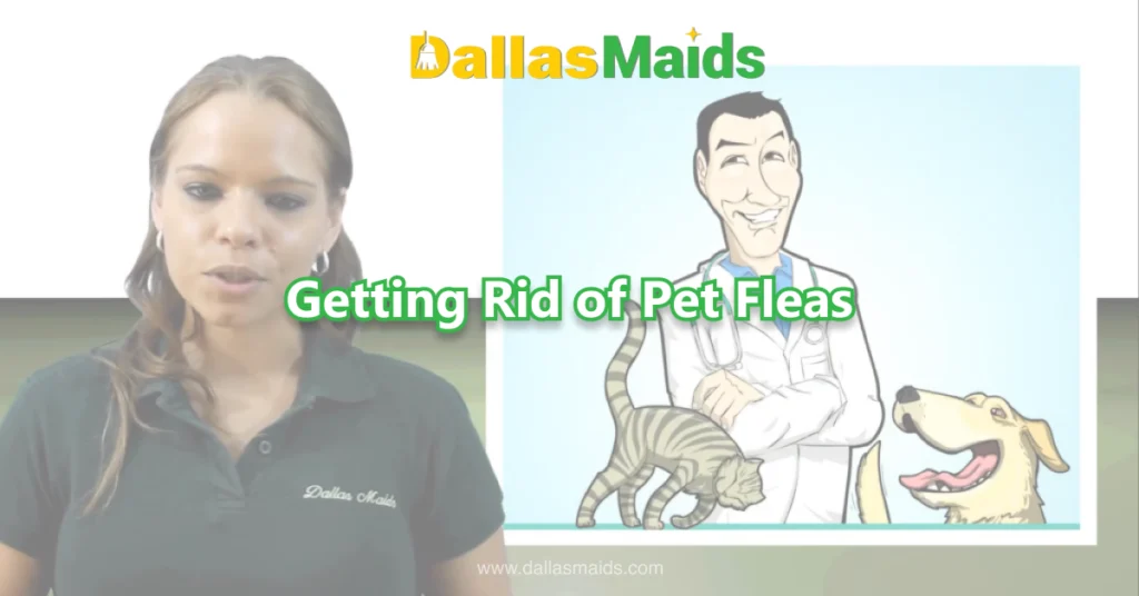 Dallas Maids - Getting Rid of Pet Fleas