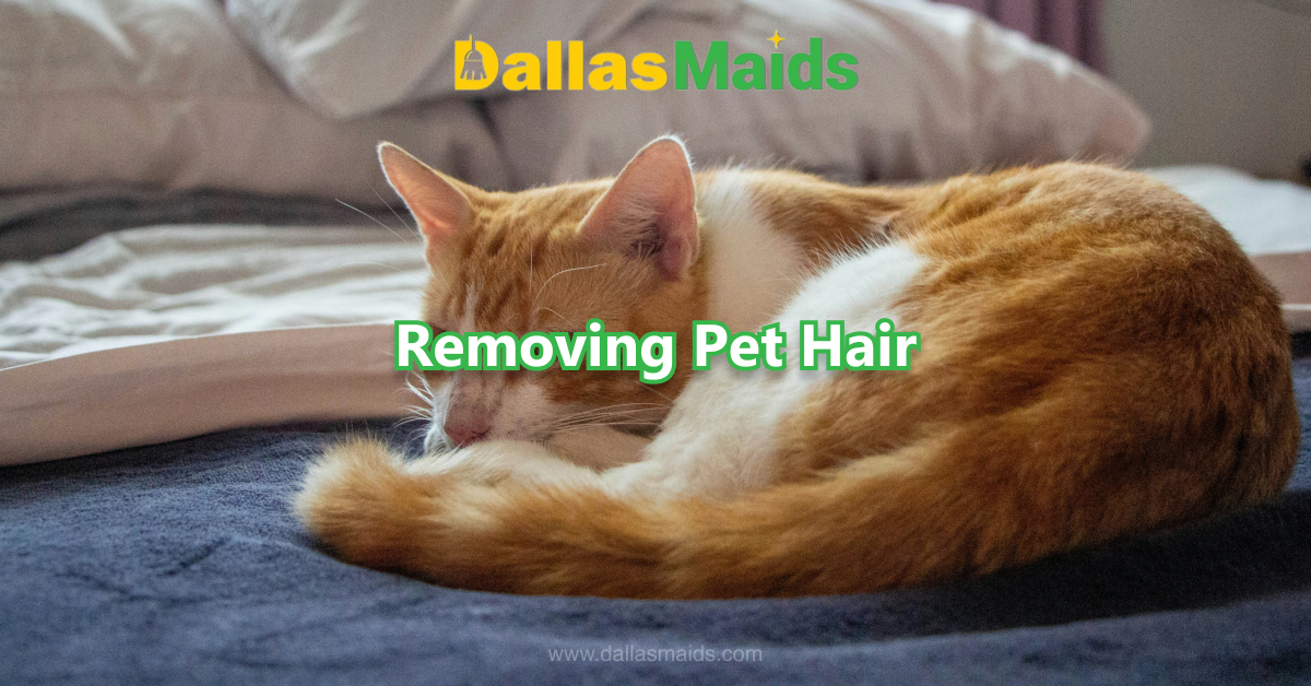 Dallas Maids - Removing Pet Hair