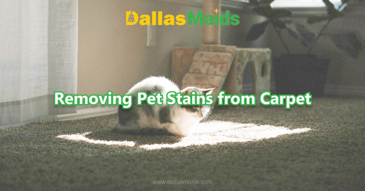 Dallas Maids - Removing Pet Stains from Carpet