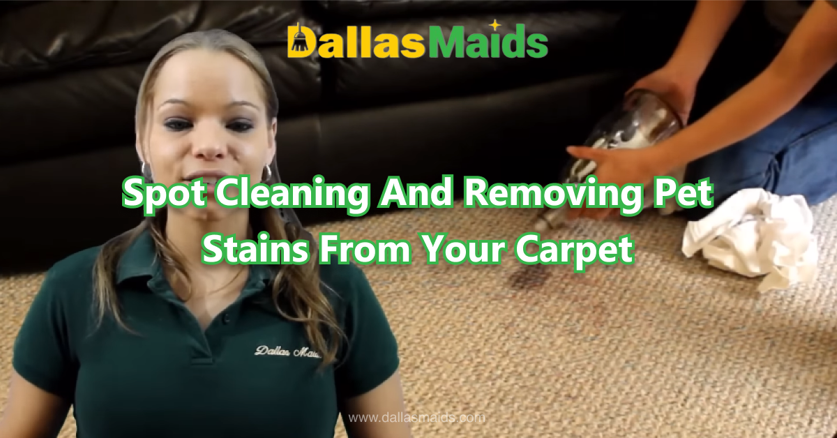 Dallas Maids - Spot Cleaning And Removing Pet Stains From Your Carpet