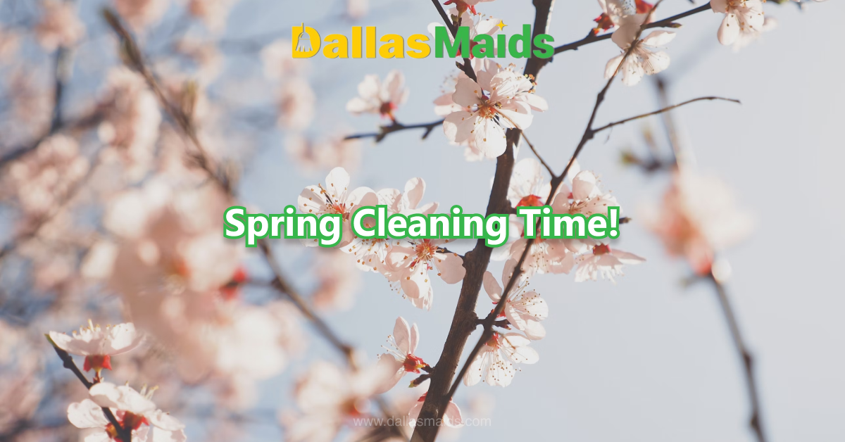 Dallas Maids - Spring Cleaning Time!