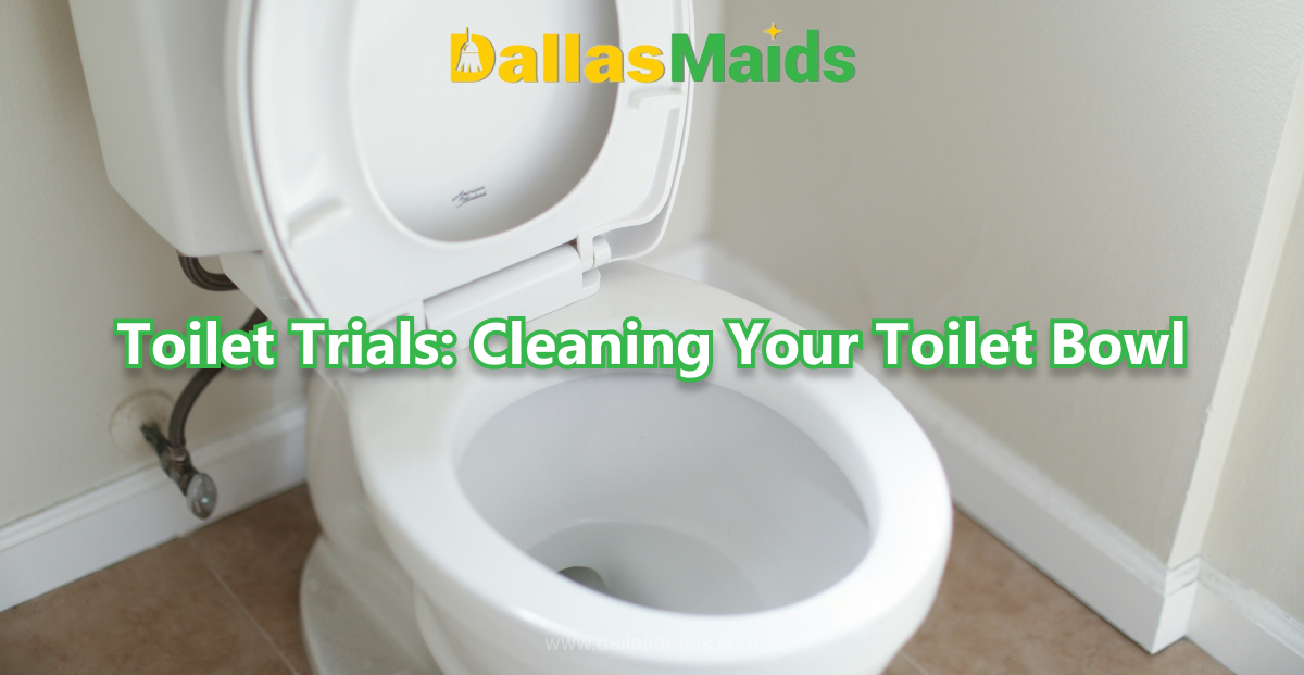 Dallas Maids - Toilet Trials: Cleaning Your Toilet Bowl